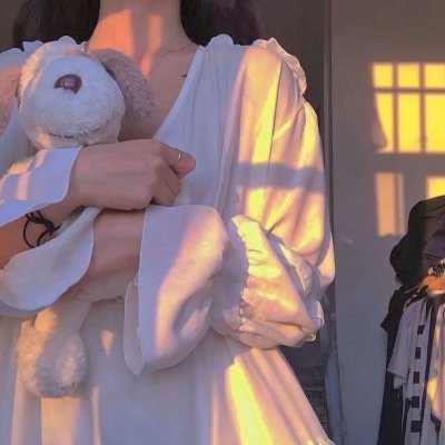 戴勋章的走私犯