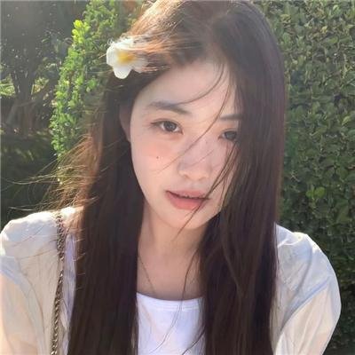 献给检察官的玫瑰花